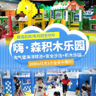 1000㎡玩乐天地，深圳『嗨·森积木乐园』！¥39.9抢全天不限时畅玩亲子票！淘气堡、海洋球池、安全沙池、积木乐园，一键开启玩乐模式！寓教于乐，干净安全更放心！